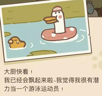 动物餐厅学游泳的鹅信件