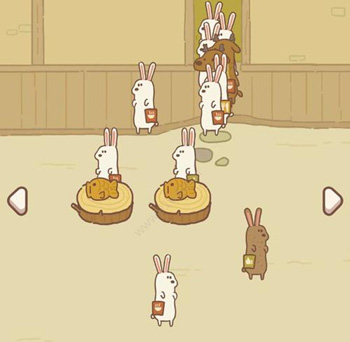 动物餐厅白兔来访条件