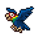 泰拉瑞亚海盗鹦鹉