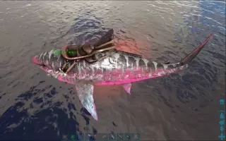 方舟生存进化巨齿鲨